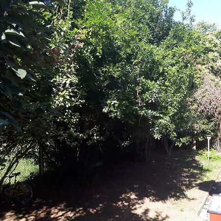 La Casa Di Mango E Pistacchio Hotel Сеграте Екстериор снимка