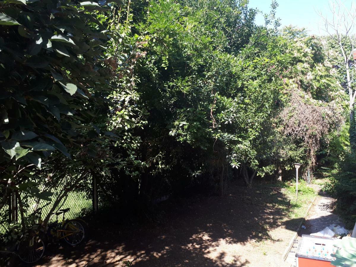 La Casa Di Mango E Pistacchio Hotel Сеграте Екстериор снимка